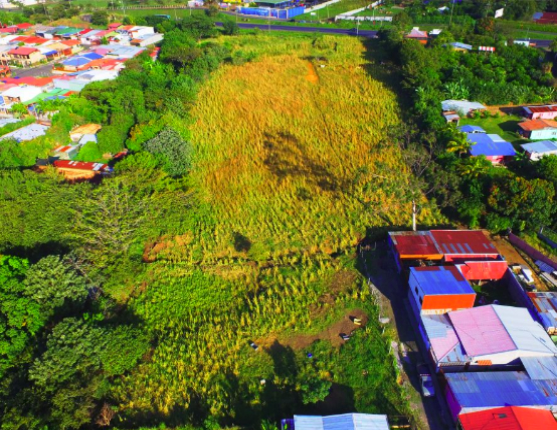 Lote Uso de Suelo Industrial